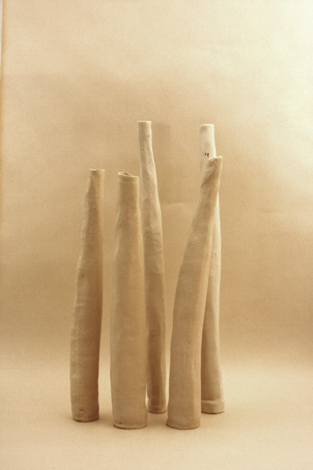 Gewächse, Paperclay, 2005